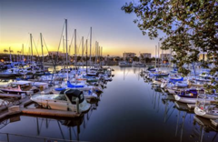 Marina Del Rey